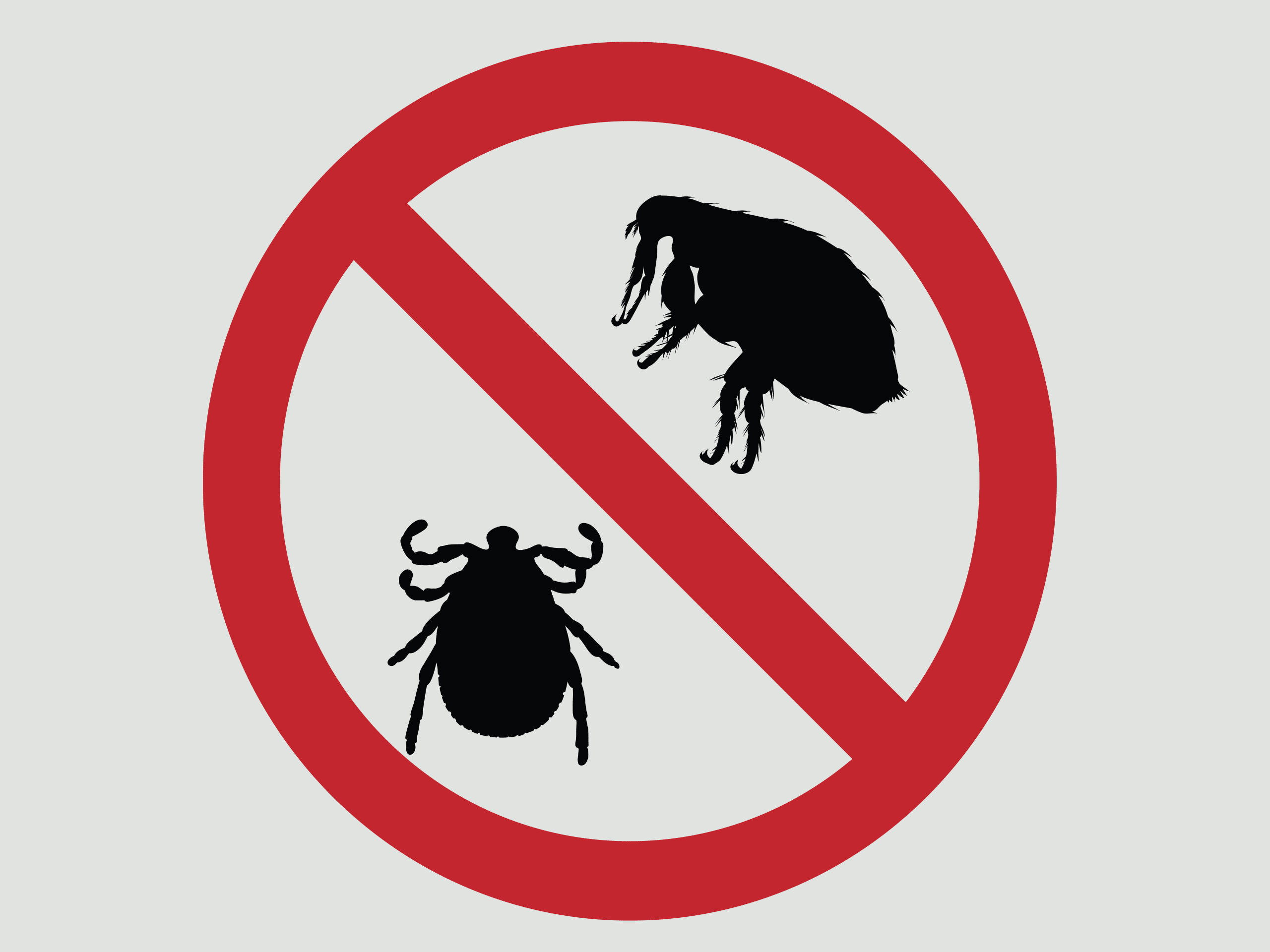 black graphic of a tick and flea in a white circle with a red outline and line through it