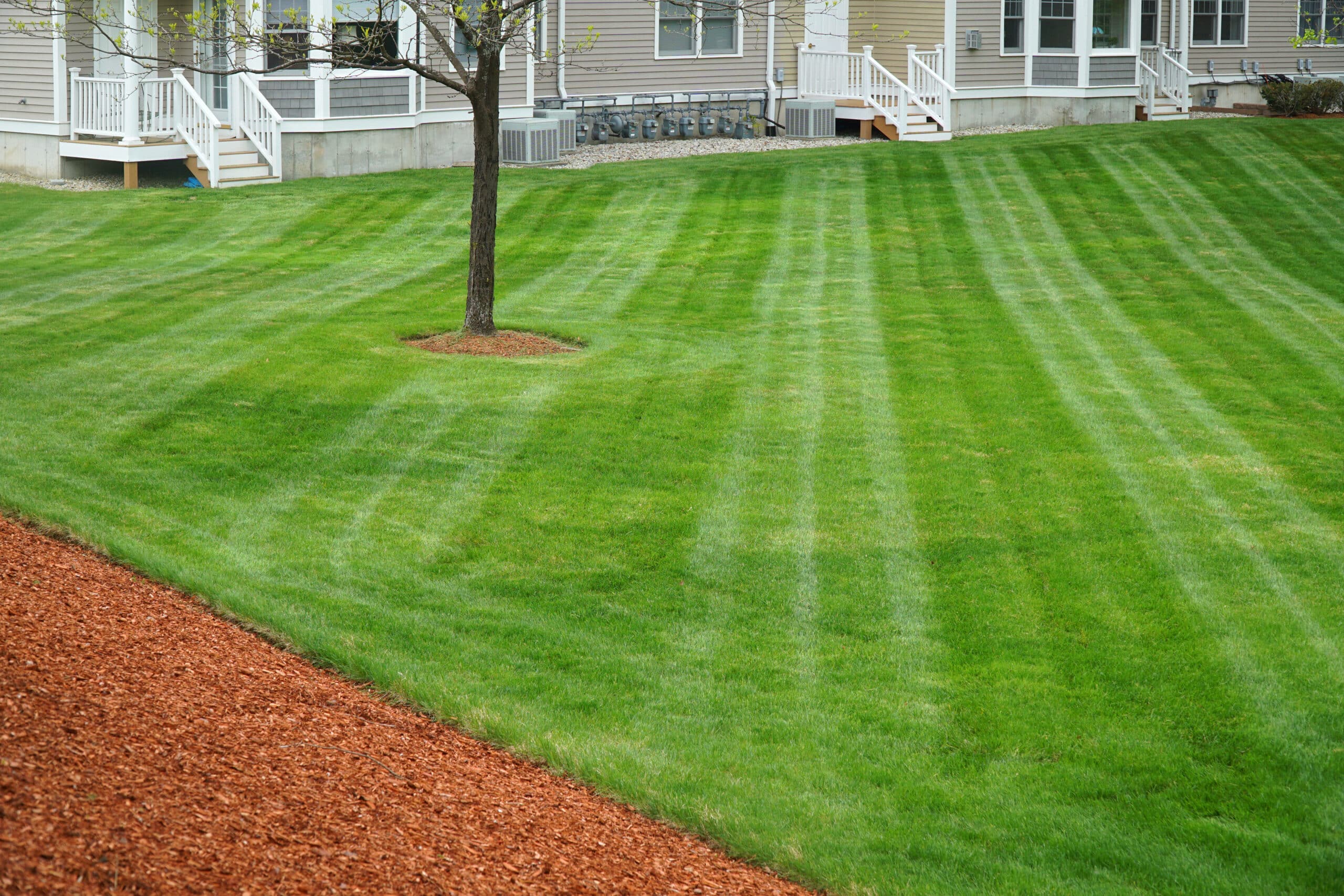 beautiful green lawn recently mowed - BirchTurf