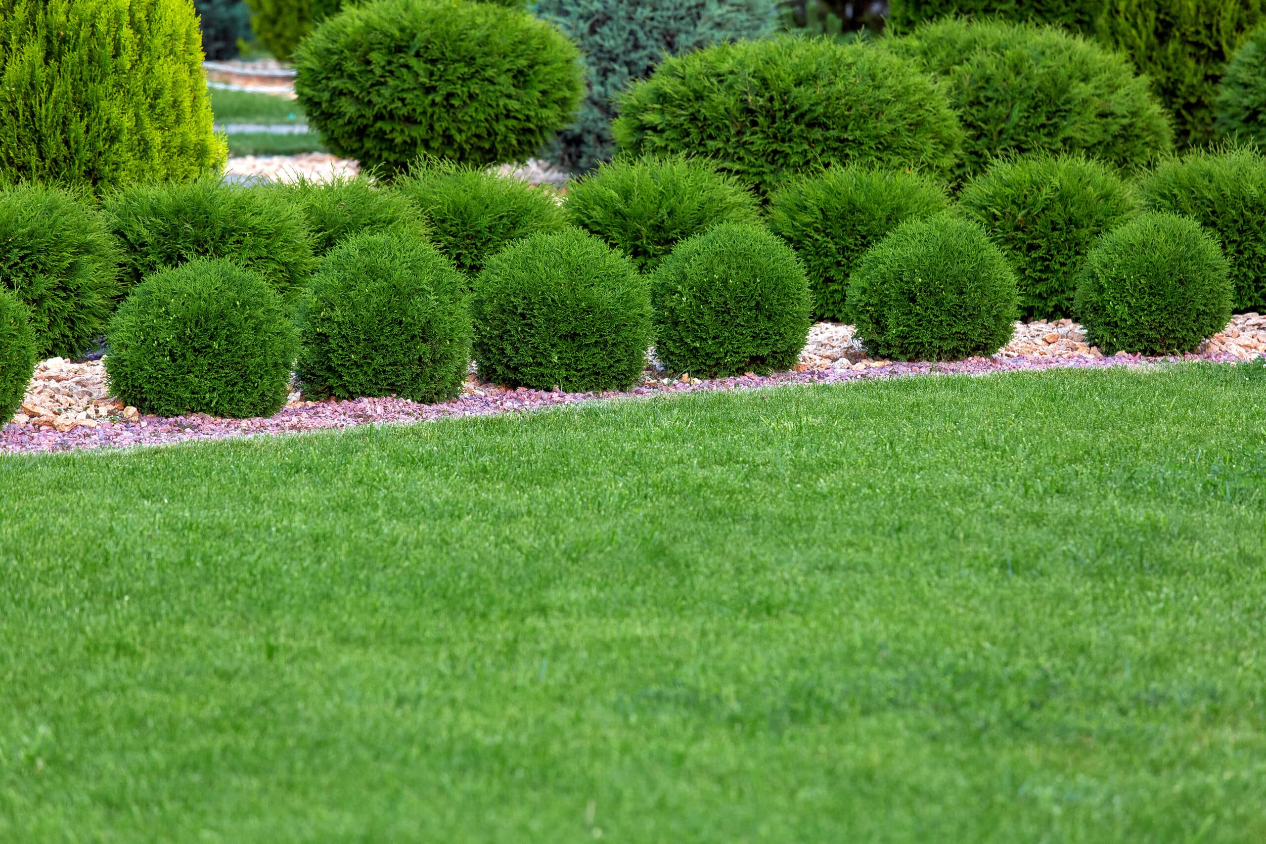 landscaped backyard garden with a green lawn - weed control services