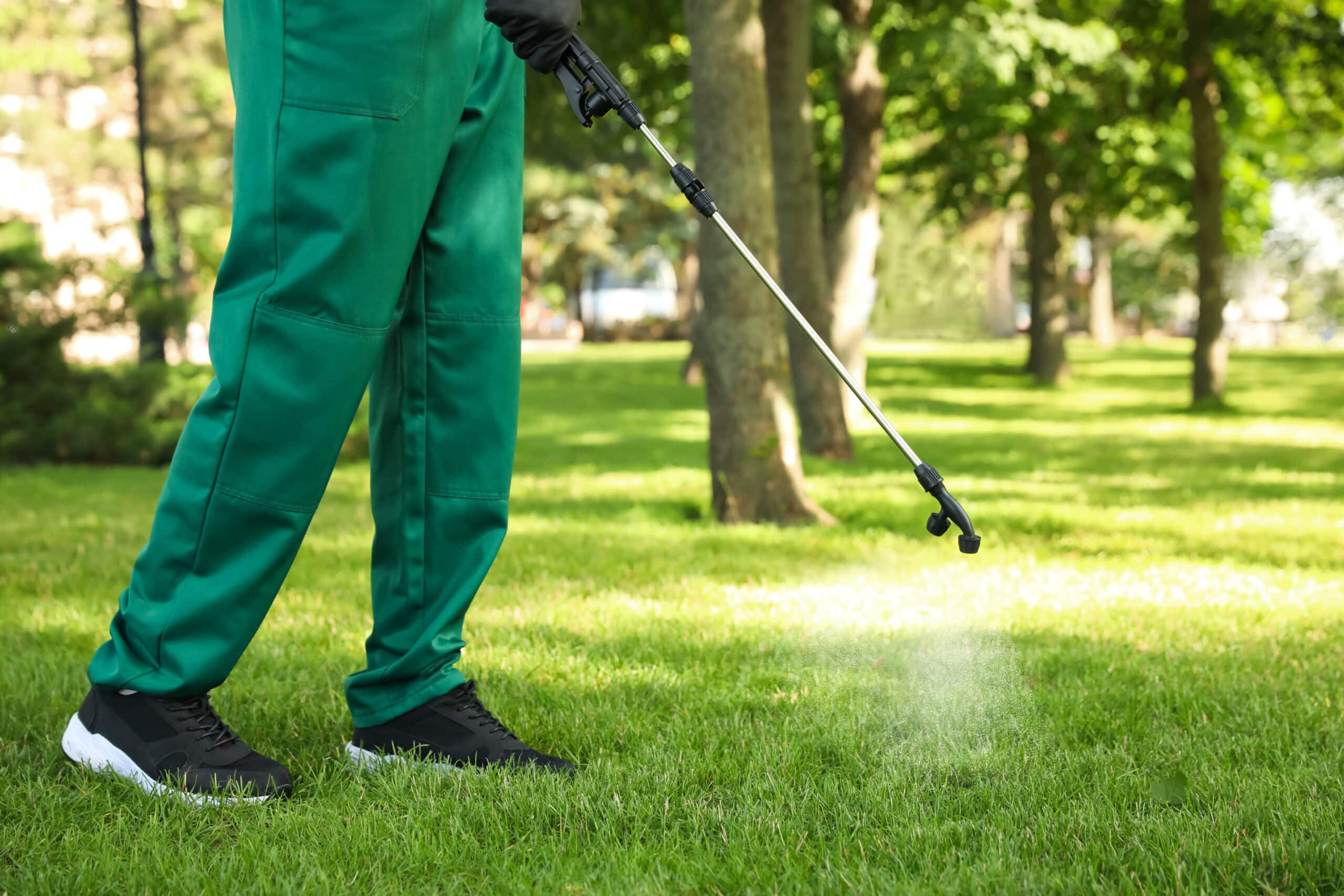 from waist down a man with green pants and black sneakers using a hand sprayer for lawn fertilizer application services